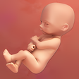プログラムのアイコン：123 Baby