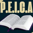 Ícone do programa: PEICA