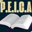 Icon of program: PEICA