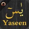 Icon of program: Surah Yaseen - يس