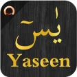 Surah Yaseen - يس
