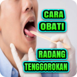程序图标：Cara Obati Radang Tenggor…