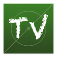 Icon of program: Futbol TV