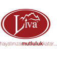 Liva Shop icon