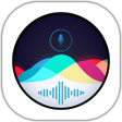 程序图标：Asteroid - Personal Voice…