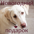 Новогодний подарок