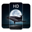 Icon of program: Daily Wallpapers HD