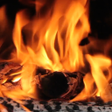 程序图标：Real Fire Live Wallpaper