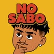 Programın simgesi: No Sabo