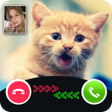 Icon of program: Cat Call You : Cat Video …