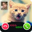 Cat Call You : Cat Video Call  Video Call prank
