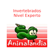 Animalandia Invertebrados Exp