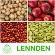 プログラムのアイコン：Lennden  Food Trader Mill…