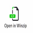 Open in Winzip