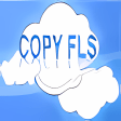 Copy FLS