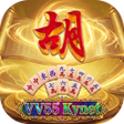 프로그램 아이콘: VV55Kynet