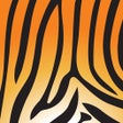 Programın simgesi: Asset Tiger