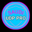 プログラムのアイコン：SAUDI UDP PRO