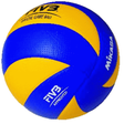 Ikon program: Volleyball