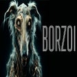 BORZOI