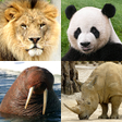 Иконка программы: Animals Quiz Learn All Ma…