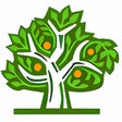 Icon of program: Family Tree Pilot