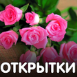 程序图标：Открытки и поздравления в…