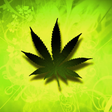 Weed HD Live Wallpaper icon