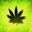 Weed HD Live Wallpaper