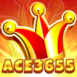 프로그램 아이콘: ace3655CardRuin