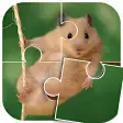 Hamster Puzzle-Puzzle Cricetulu