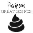 POS IP Camera