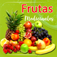程序图标：Medicinal Fruits