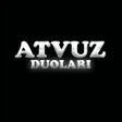 程序图标：ATVUZ DUAS