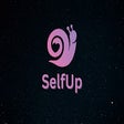程序图标：SelfUp