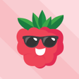プログラムのアイコン：raspberry VPN