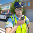 程序图标：Virtual Police Officer Da…