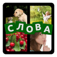 程序图标:4 фотки 1 слово