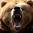 Bears Jigsaw Puzzles icon