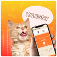 Ícone do programa: Cat Translator Simulator …