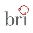 プログラムのアイコン：BRI-OK