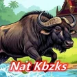 프로그램 아이콘: Nat Kbzks