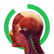 プログラムのアイコン：Arloon Anatomy