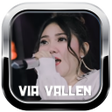 プログラムのアイコン：Via Vallen - Salah Apa Ak…