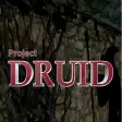 Project Druid - 2D Labyrinth Explorer