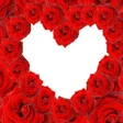 程序图标：Nice Love Wallpapers