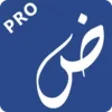 ไอคอนของโปรแกรม: Photex Pro