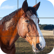 プログラムのアイコン：Beautiful Horses Puzzle