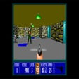 程序图标：Wolfenstein 3D