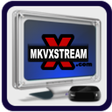 Icon of program: Roku Channels Launcher